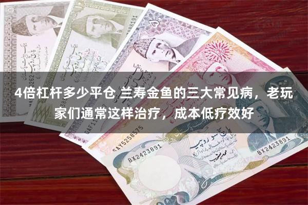 4倍杠杆多少平仓 兰寿金鱼的三大常见病，老玩家们通常这样治疗，成本低疗效好