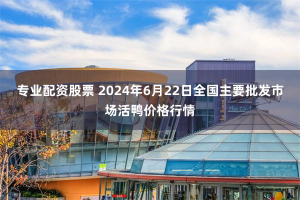 专业配资股票 2024年6月22日全国主要批发市场活鸭价格行情