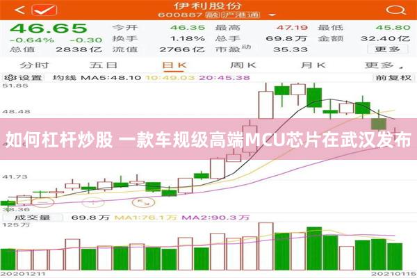 如何杠杆炒股 一款车规级高端MCU芯片在武汉发布