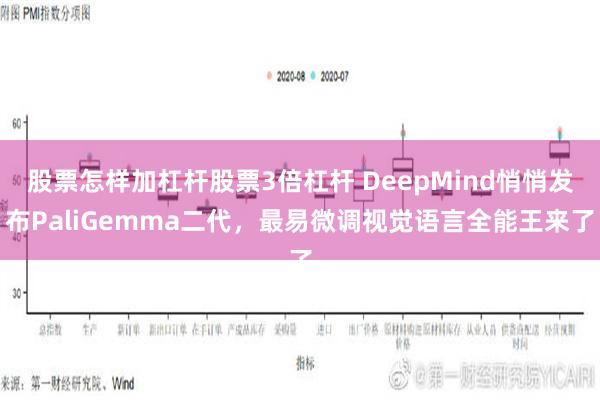 股票怎样加杠杆股票3倍杠杆 DeepMind悄悄发布PaliGemma二代，最易微调视觉语言全能王来了