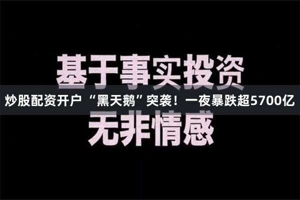 炒股配资开户 “黑天鹅”突袭！一夜暴跌超5700亿